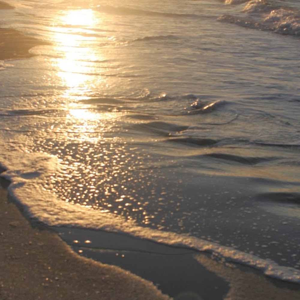 Meet your Posher, Rose